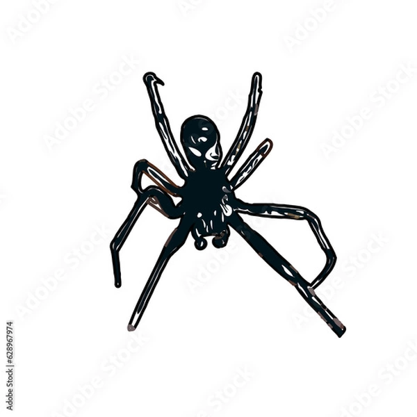 Obraz Color sketch of spider with transparent background