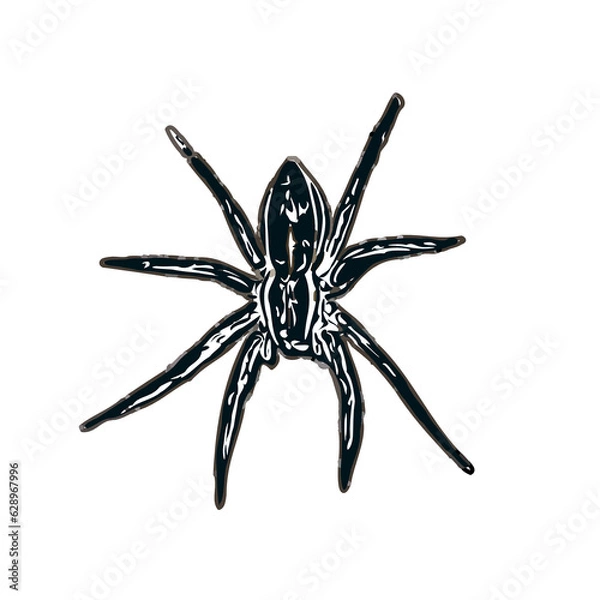 Fototapeta Color sketch of spider with transparent background