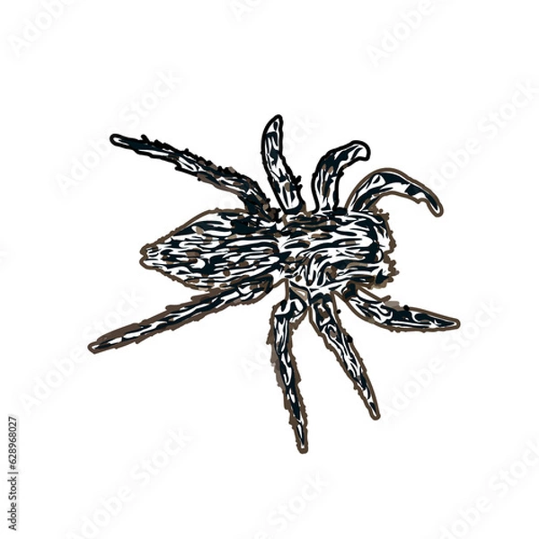 Obraz Color sketch of spider with transparent background