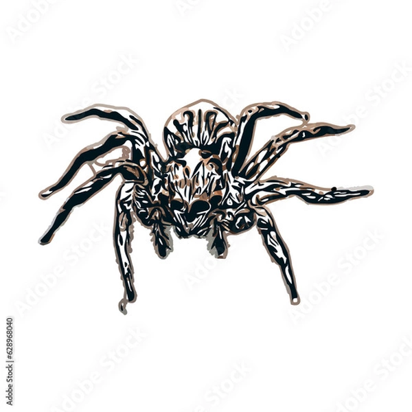 Obraz Color sketch of spider with transparent background