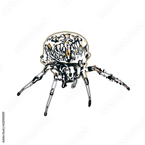 Obraz Color sketch of spider with transparent background
