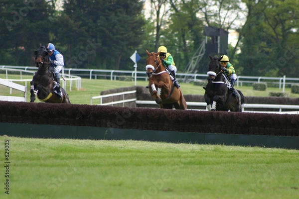 Obraz dernière haie avant l'arrivée
