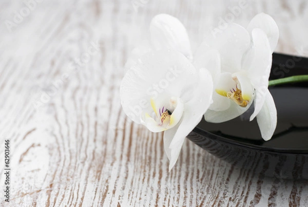 Fototapeta Orchids spa