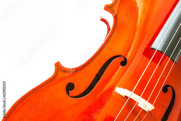 Obraz Violin isolate on white background