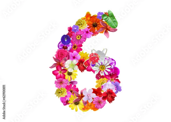 Fototapeta The shape of the number 6 is made of various kinds of flowers petals isolated on transparent background. suitable for birthday, anniversary and memorial day templates