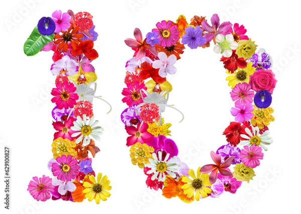 Fototapeta The shape of the number 10 is made of various kinds of flowers petals isolated on transparent background. suitable for birthday, anniversary and memorial day templates