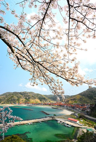 Obraz 島根町の桜