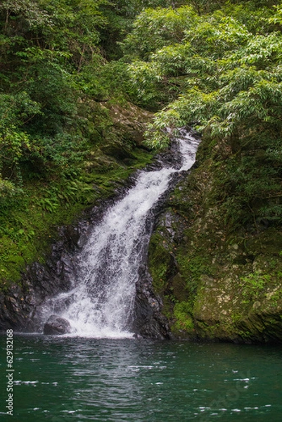 Obraz 木々と苔の間を縫って流れ落ちるマテリヤの滝