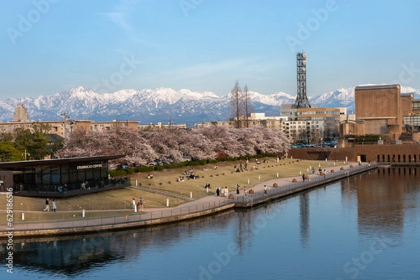 Obraz 桜が満開の富山市の富岩運河環水公園と立山連峰（夕景）