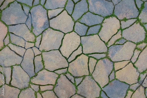 Obraz Stone tiles with moss