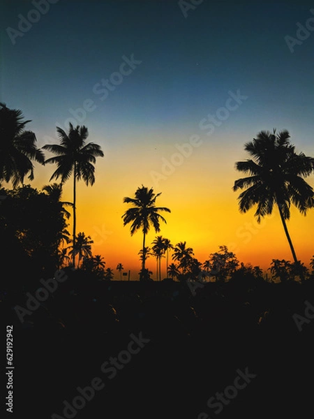 Obraz palm silhouette at sunset