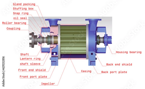 Obraz Liquid ring vacuum pump 3D illustration
