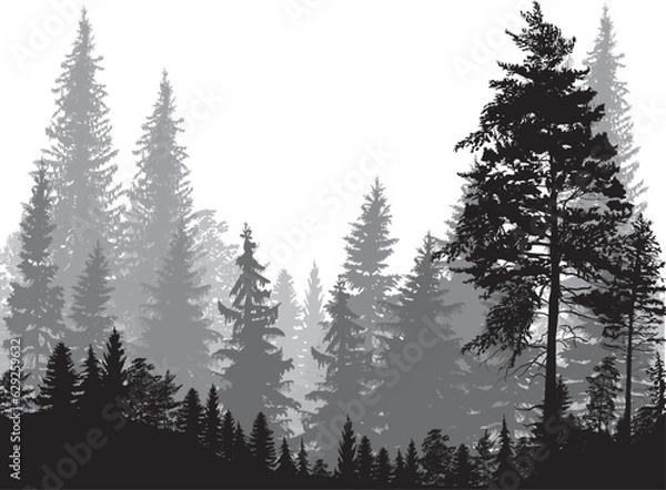 Obraz fir trees three grey colors forest on white background