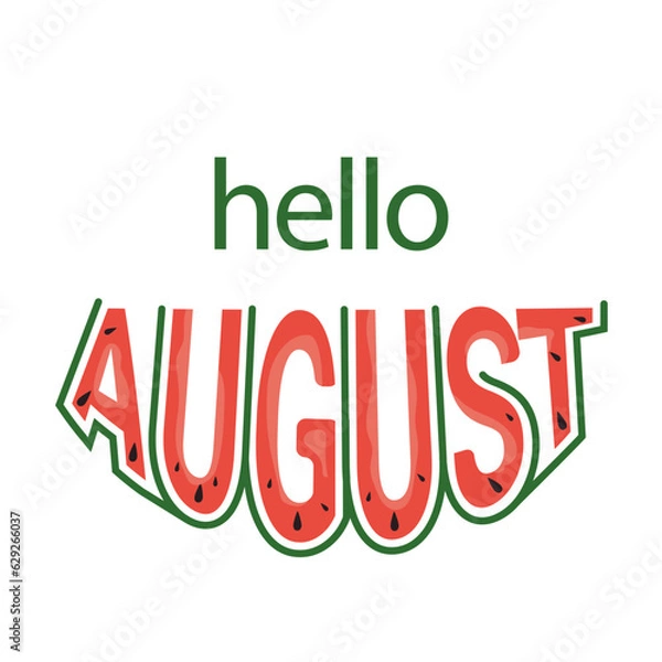 Fototapeta Vector illustration with the inscription Hello August! Letters stylized in watermelon. Calligraphic handwritten quote on a white isolated background. Creative solution.