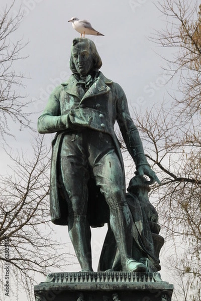 Obraz la mouette de berthollet