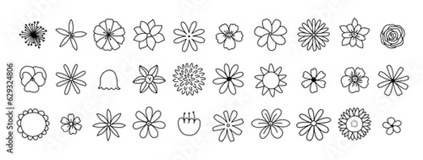 Fototapeta Simple Doodle Outline Flowers Set. Botanical modern trendy vector elements