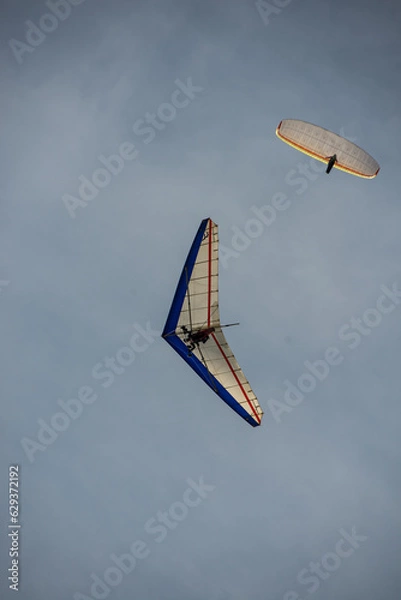 Obraz Flying High Again