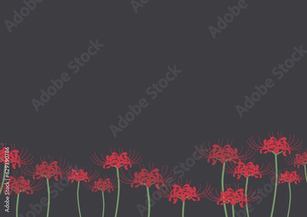 Obraz 彼岸花の背景イラスト