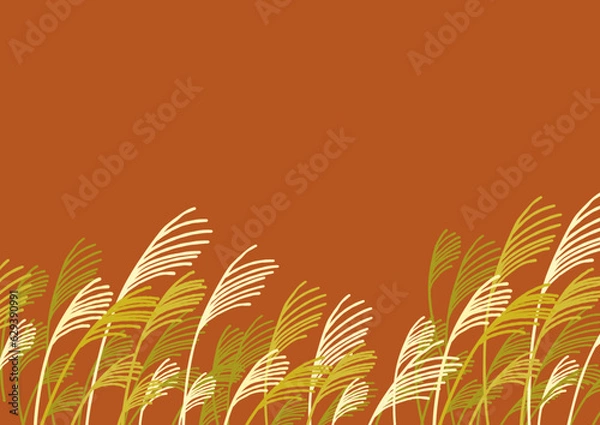 Fototapeta 金色に輝くススキのイラスト背景素材