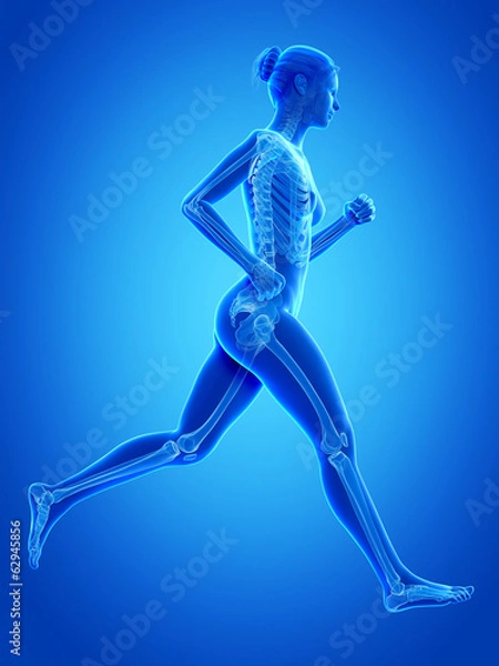 Obraz woman running - visible anatomy of the skeleton