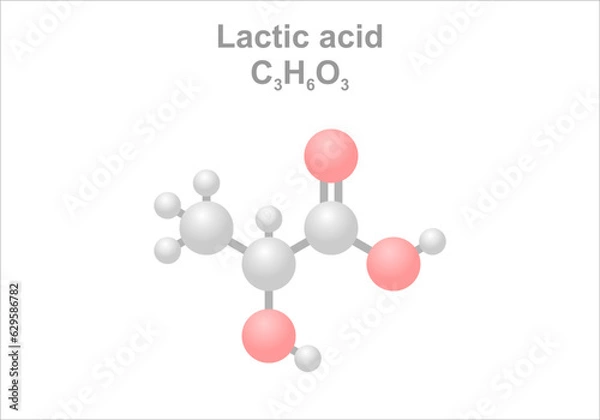 Fototapeta Lactic acid. Simplified scheme of the molecule. Found in sour milk products and use as food preservative.
