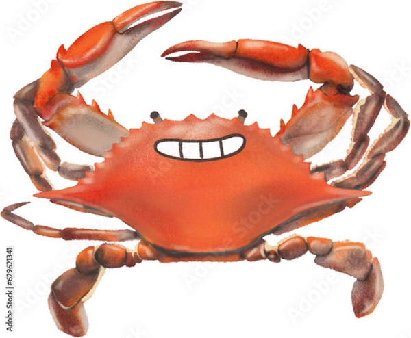 Obraz 리얼한 꽃게 일러스트