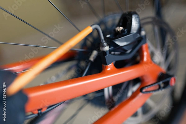 Obraz Rear brake service