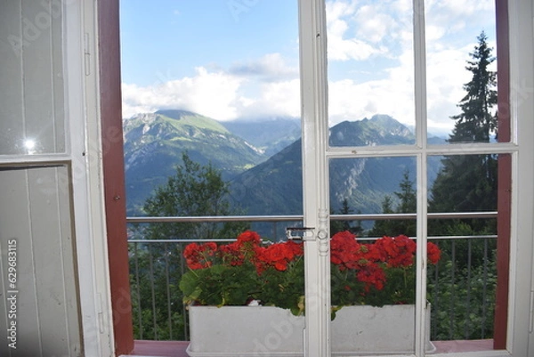 Obraz view through the window