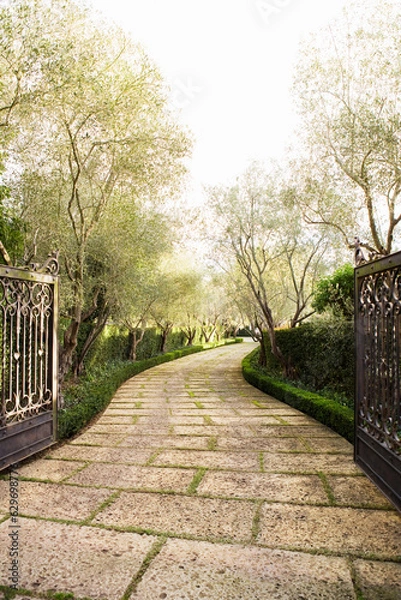 Fototapeta pathway park