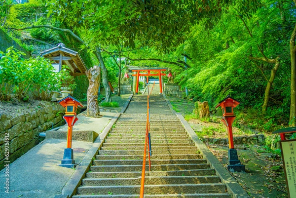 Obraz 新緑に包まれた赤い鳥居