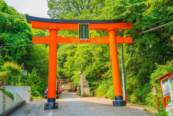 Obraz 新緑に包まれた赤い鳥居