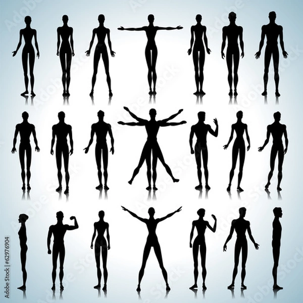 Obraz Anatomy silhouettes