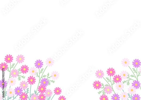 Obraz コスモスの花のイラスト背景素材
