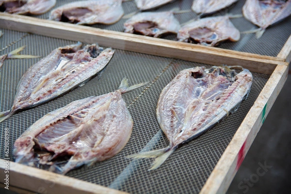 Obraz アジの干物　一夜干し　天日干し　焼き魚