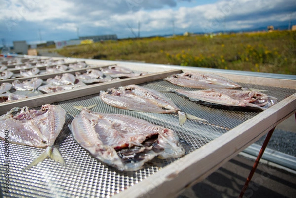 Obraz アジの干物　一夜干し　天日干し　焼き魚