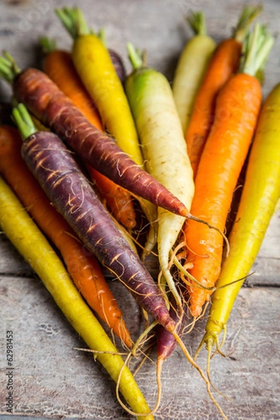 Obraz bunte Möhren