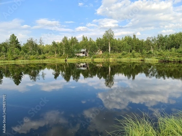 Obraz lake and forest