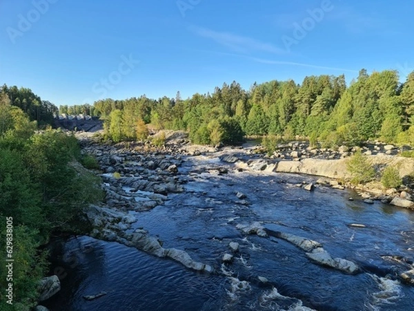 Obraz mountain river in the forest