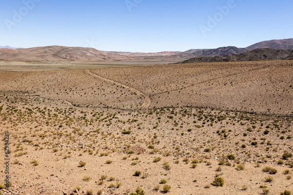 Obraz Desert Scenic
