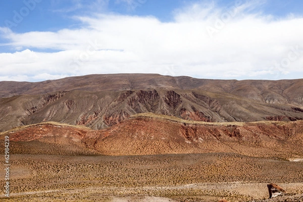 Obraz Beautiful Landscape