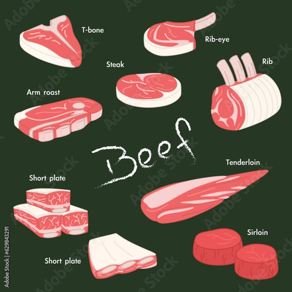 Obraz Beef Elements of Different Parts of Cow Illustration Vector