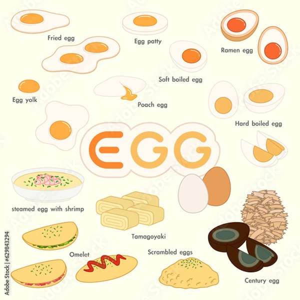 Fototapeta Egg Cook in Different Way and Formed Various Dish Illustration Vector