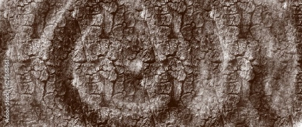 Obraz texture
