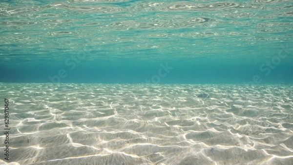 Fototapeta Sandy shallow water in sunburst and glare on seabed sand. Sunlight passes through surface of turquoise water and glares on sandy bottom in shallow water on bright sunny day, Red sea, Egypt
