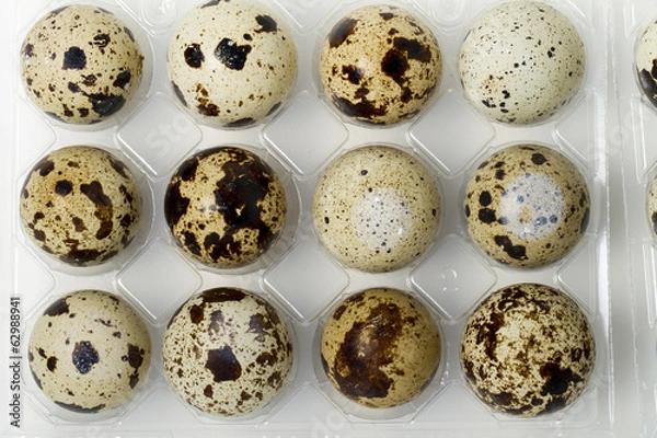 Obraz raw quail eggs isolated 