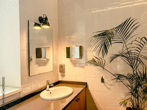 Obraz sink in small cozy public toilet with wall soap dispenser and paper towlels. foliage plant on the floor