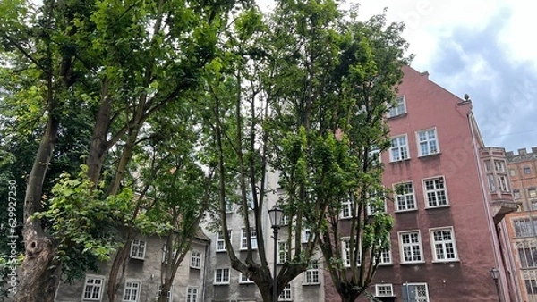 Obraz Гданьск. Польша