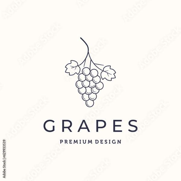 Fototapeta grape health fruit line art logo vector minimalist illustration design, grapes dessert logo design