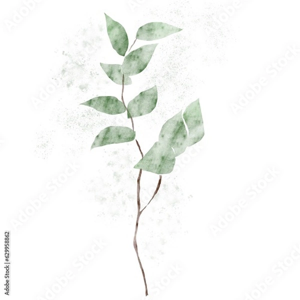 Obraz Watercolor eucalypt leaves. beautiful botanical watercolor hand drawn branches and green leaves. 