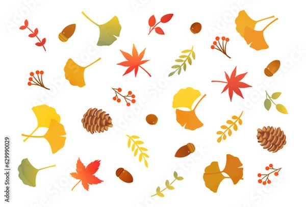 Fototapeta 鮮やかな秋の植物の素材セット